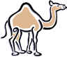 There aren't any camels in the Antarctic desert