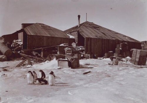 Antarctic Bases and Buildings - The ...