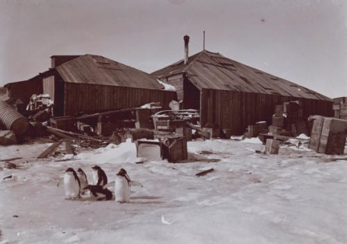 Antarctic Bases