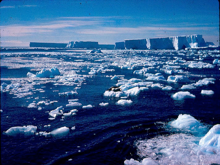 Sea ice and icebergs