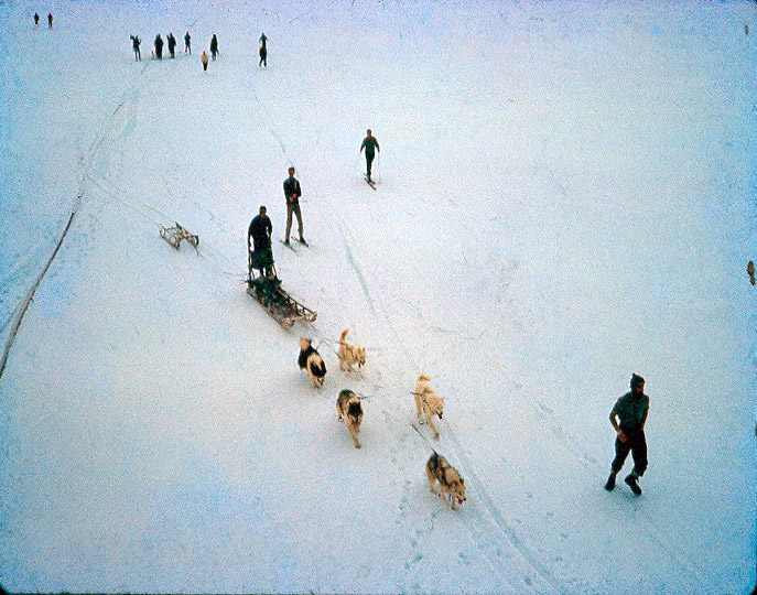 Sea ice relief by dog sled