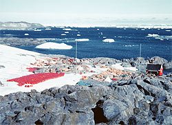 Adelaide Island Base 1962