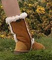 Price: �95.00 including VAT or US$149.09 excluding VAT