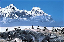 Antarctica Cruise: The Peninsul Antarctica Cruise: The Peninsul