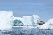 Antarctica Cruise - Crossing the Circle