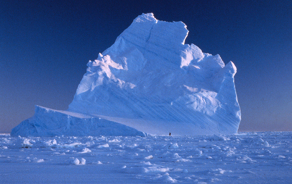 What are the natural resources of Antarctica?