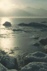 Pancake ice formation