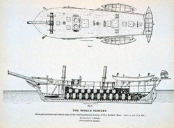 Whaling Schooner