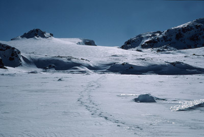 Mcleod Glacier