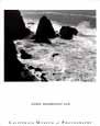 Ansel Adams - Pacific Vista