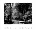 Ansel Adams - Tenaya Creek, Yosemite Natl Pk