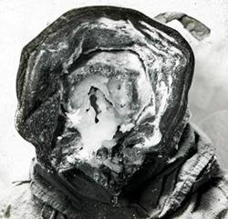 The effect of low temperatures and high winds