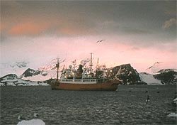 RRS John Biscoe refuelling Signy base