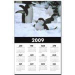 Antarctica 2009 Calendar Print