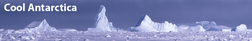 Cool Antarctica header