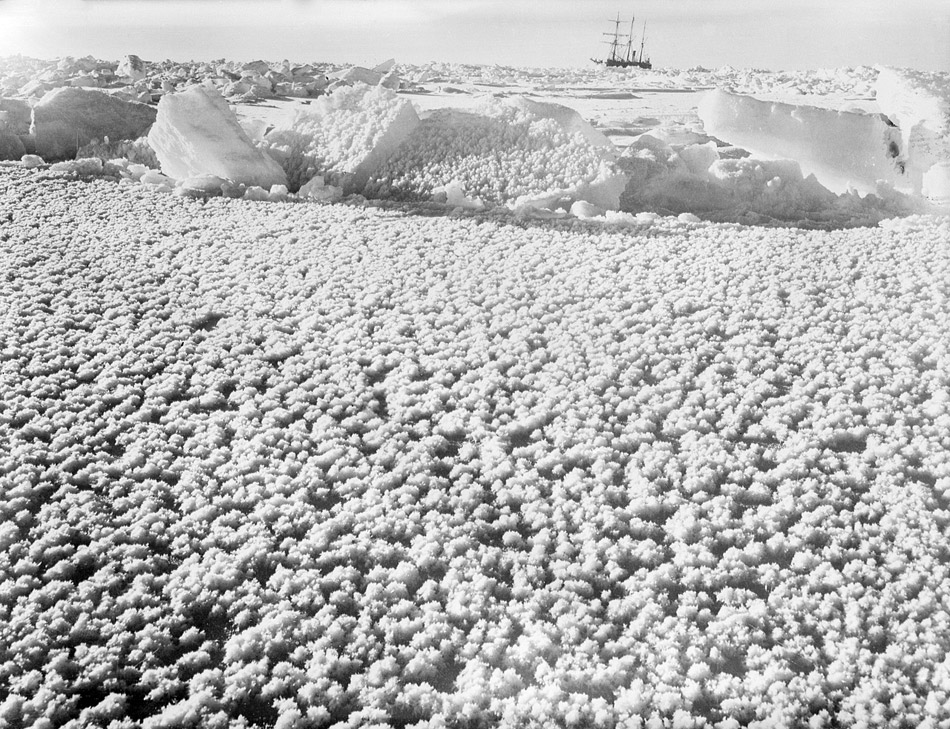 Ice flowers