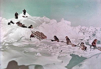 Dog team, scouting across sea ice