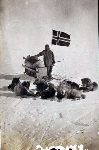 Amundsen and his dog team at the South 
							Pole