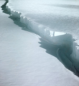 Ross Ice Shelf