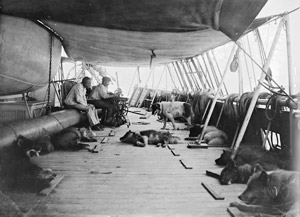 Roald Amundsen and Martin Ronne, Fram, 1910