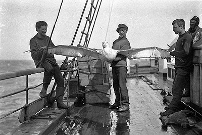 Albatross on deck Stillwell Harrisson Hunter