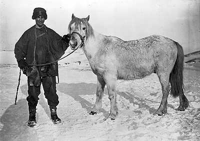 Cherry Garrard and pony