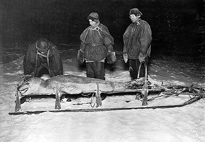 Forde Cherry Garrard and Wilson with a dead leopard seal on a sled