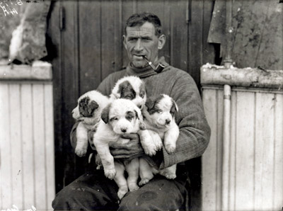 Tom Crean with puppies,on Endurance 1911