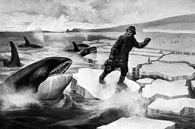 Herbert Ponting attacked by killer whales, painting