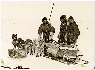 dog sled team and drivers