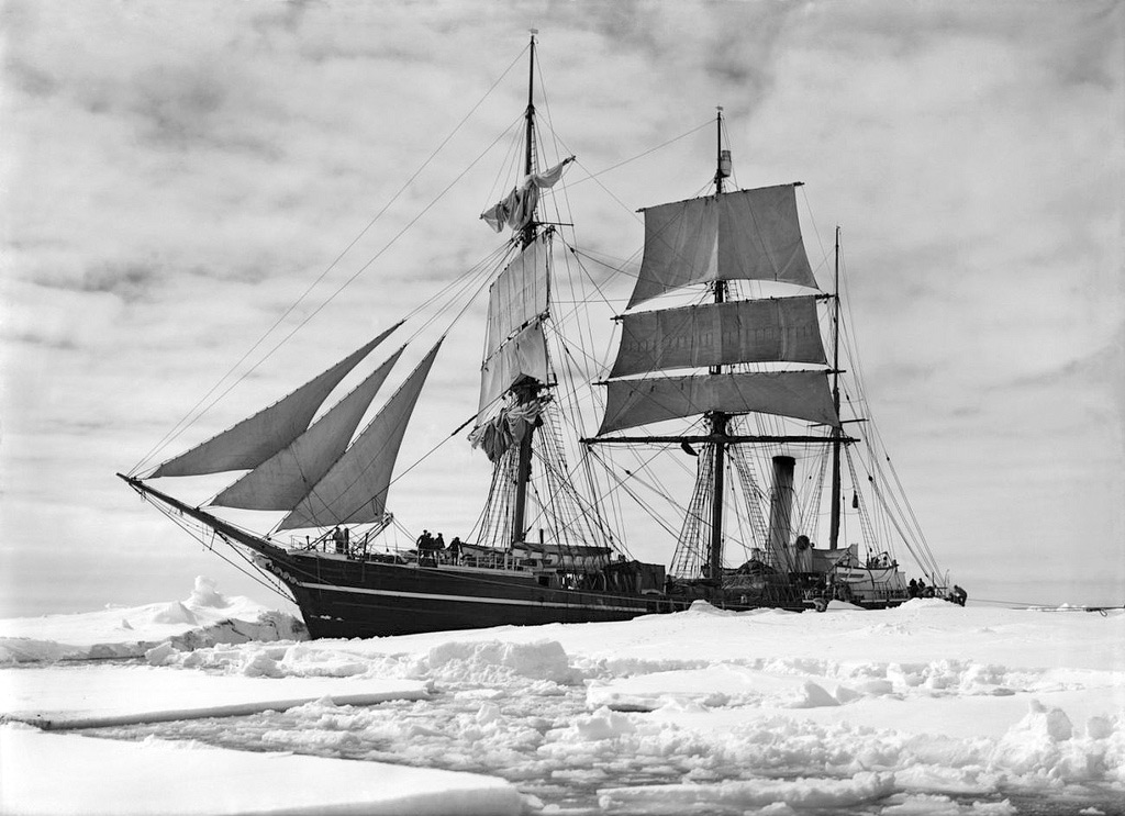 Terra Nova (bateau) — Wikipédia