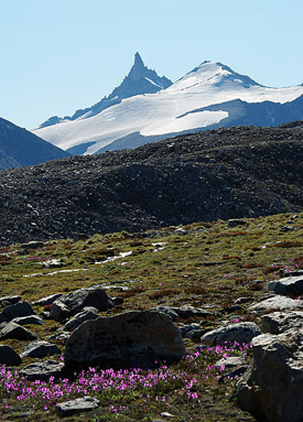 The South Pole
