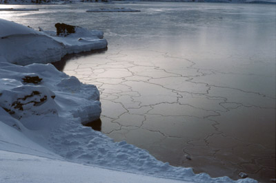 Sea Ice