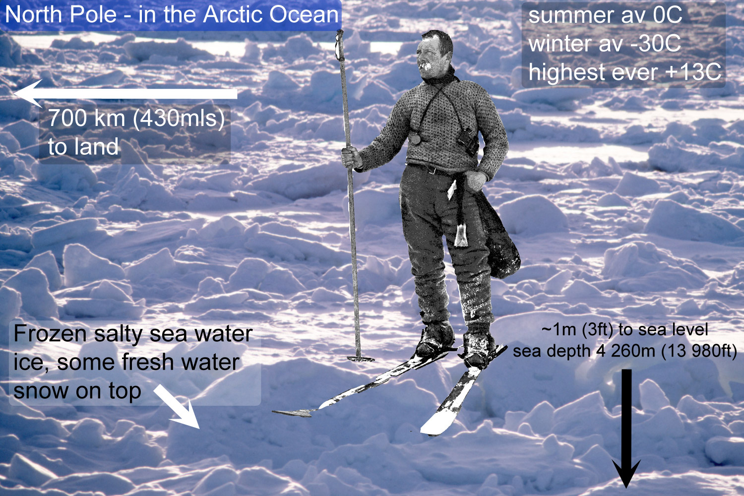 Antarctica and the Arctic compared, Differences and Similarities between the north and south poles Antarctica and the Arctic compared, Differences and Similarities between the north and south poles