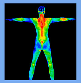 thermal image of body