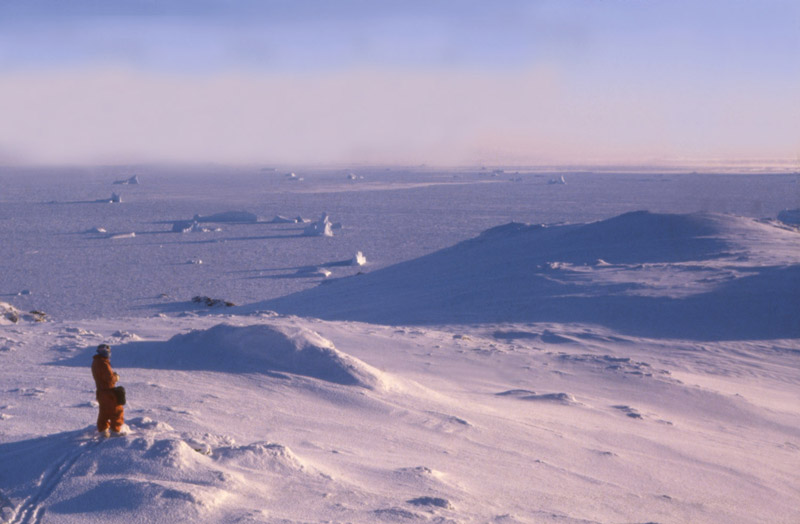 Signy Island, Antarctica sea ice in winter