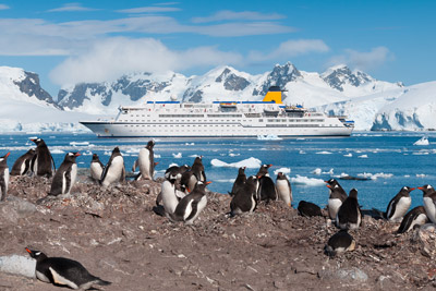 antarctic cruise