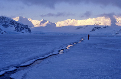 Antarctic cruise ship