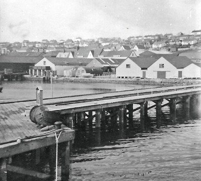 Port Stanley Falklands 1950