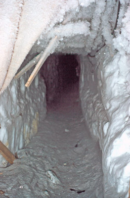 Tunnel leading to seismology, magnetology, and glaciology lab areas