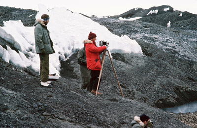 Adelie penguin