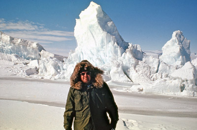 Adelie penguin