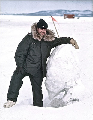 Adelie penguin