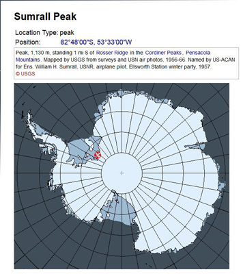 Adelie penguin