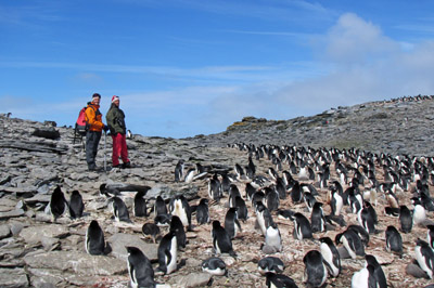 Bringing the news of Christmas to penguins