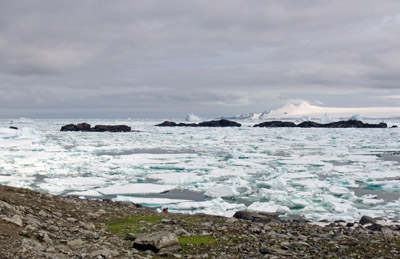 Broken up pack ice, early summer, west coast looking towards Sandefjords