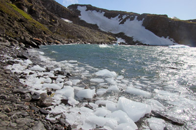 Brash ice in Fatory Cove