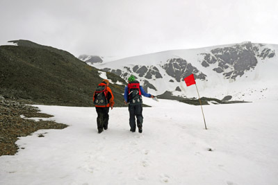 A stick with a flag in Moraine Valley