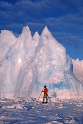 Ice Berg Trapped in Winter Sea Ice