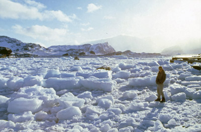 Cove Filled With Brash Ice From a Broken Ice Berg